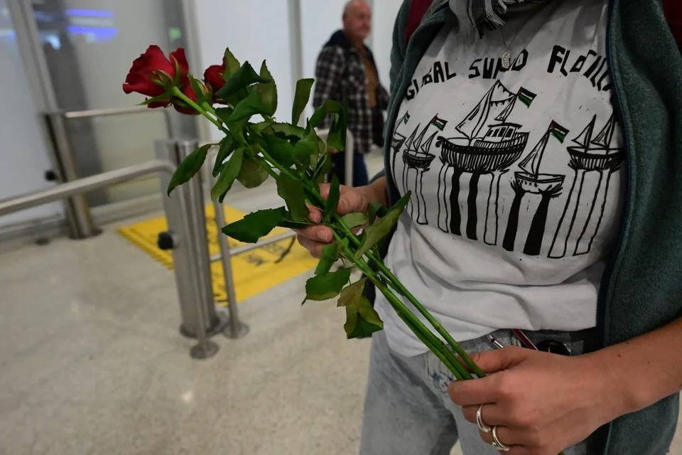 5290026681261359 image