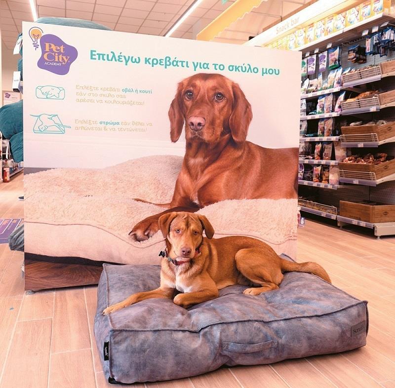 5290807021938654 s-12-3-2