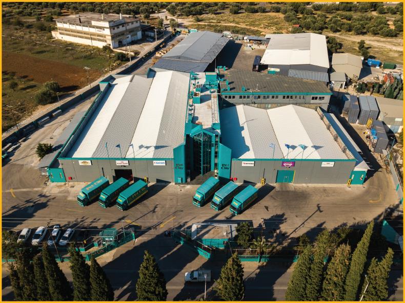 5290809490390785 petcity2