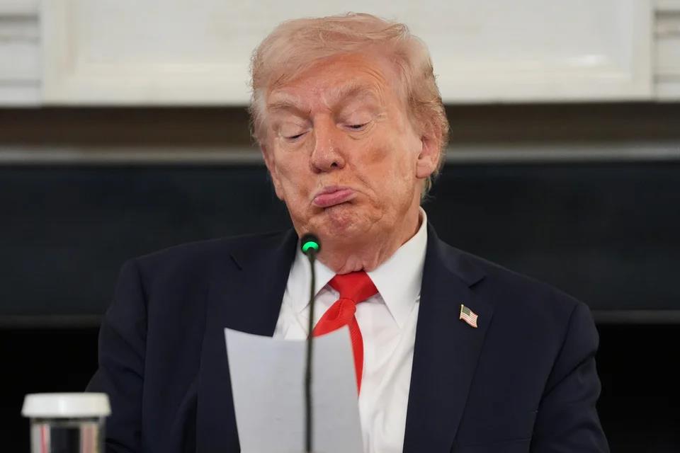 5292526571642020 image