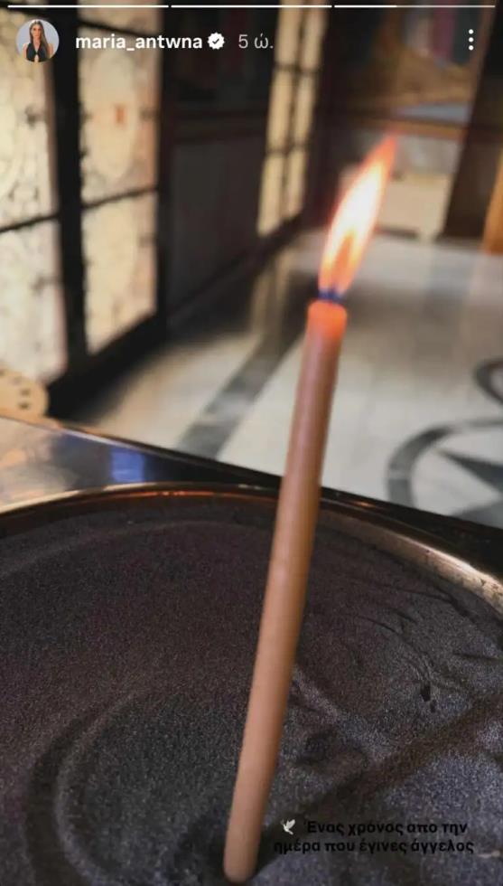 5295728891331655 image