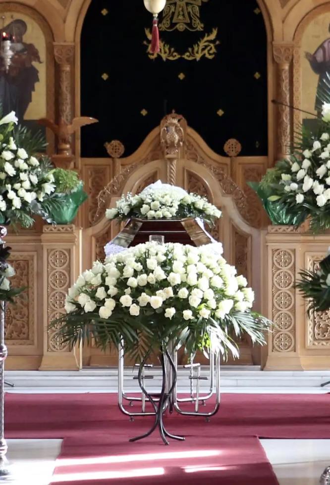 5298513931631888 image