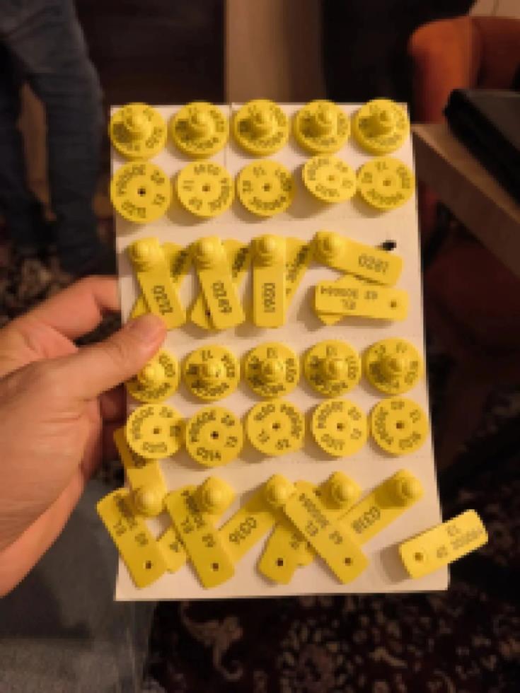 5304594163642307 image