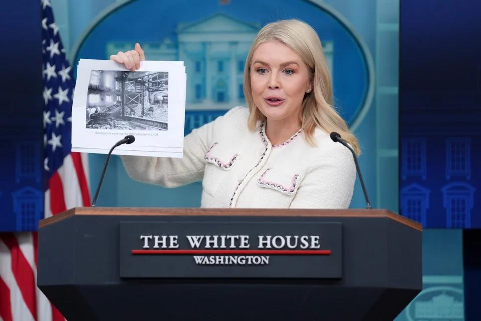 5305367711148801 image