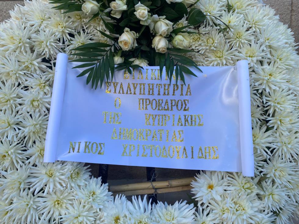 5306228557077787 image