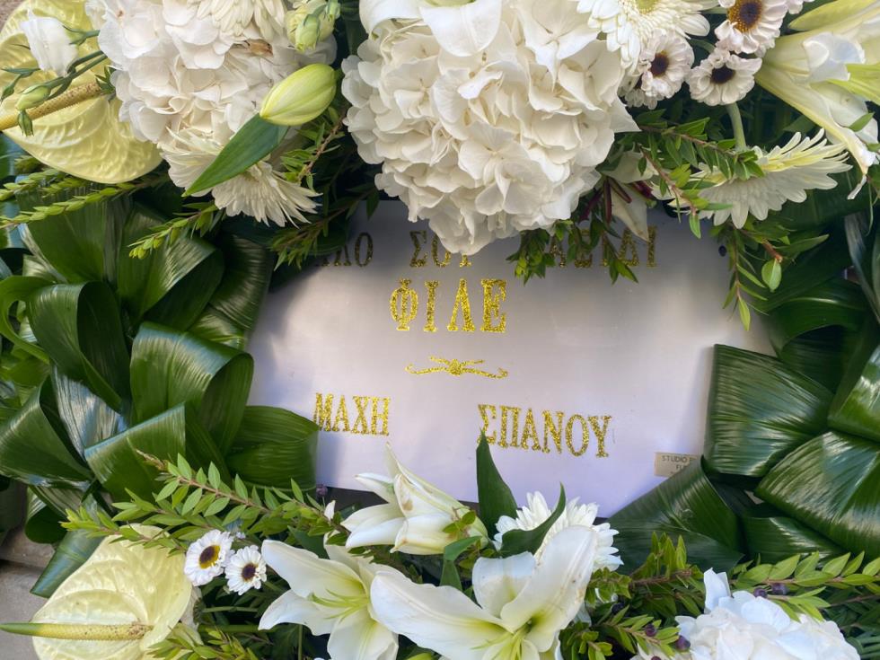 5306228841717849 image