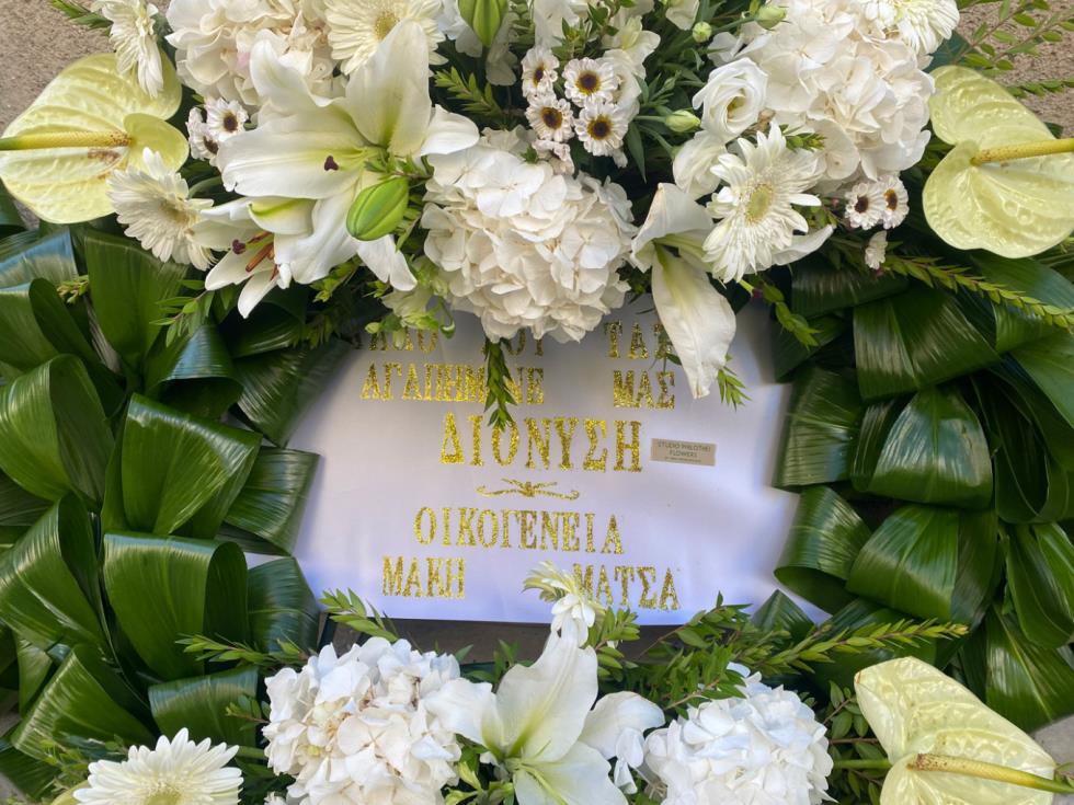 5306228925341510 image