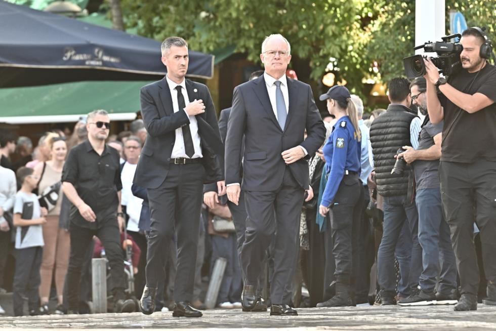 5306313197012253 image