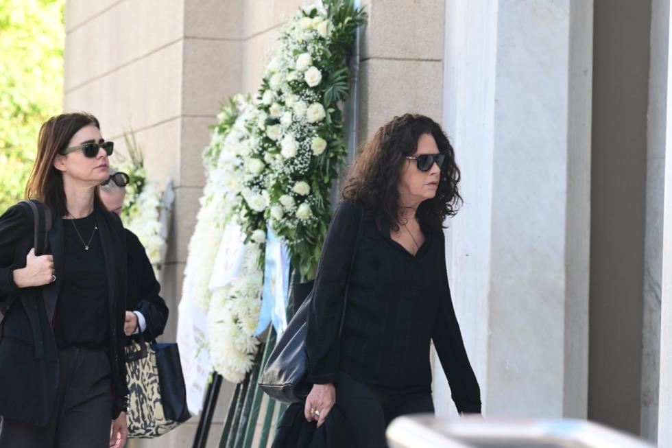 5306313656617788 image