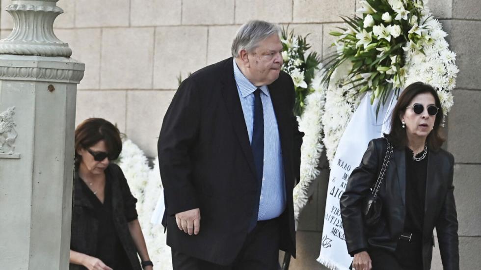 5306314674233850 image