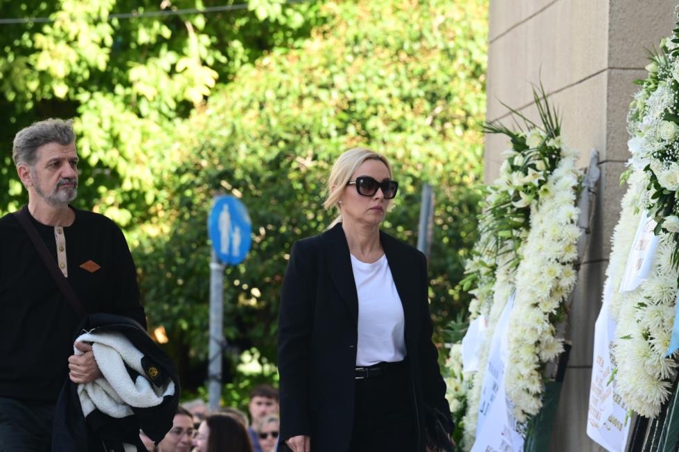 5306315242028159 image