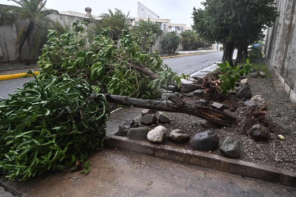 5309544627268463 image