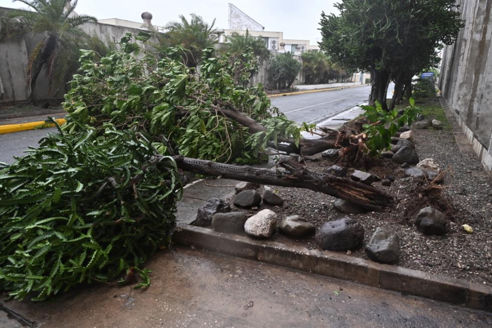 5309978050051275 image