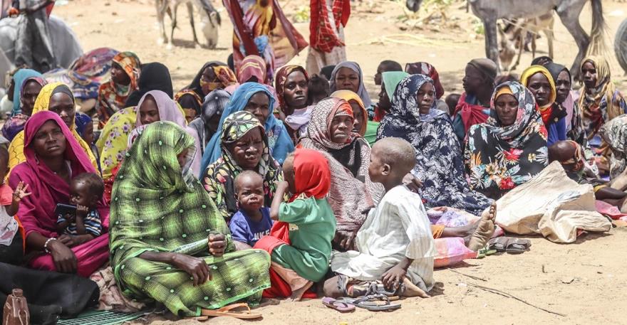 5310612348979299 image