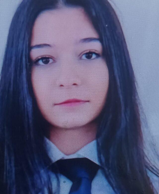 5310623799705950 image