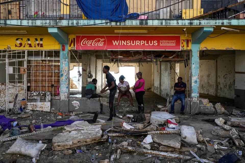 5311480676644815 image