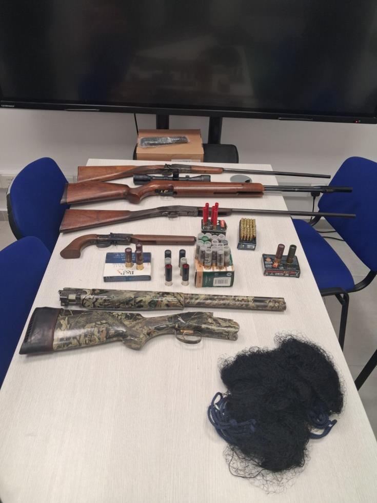 5311577405278835 image