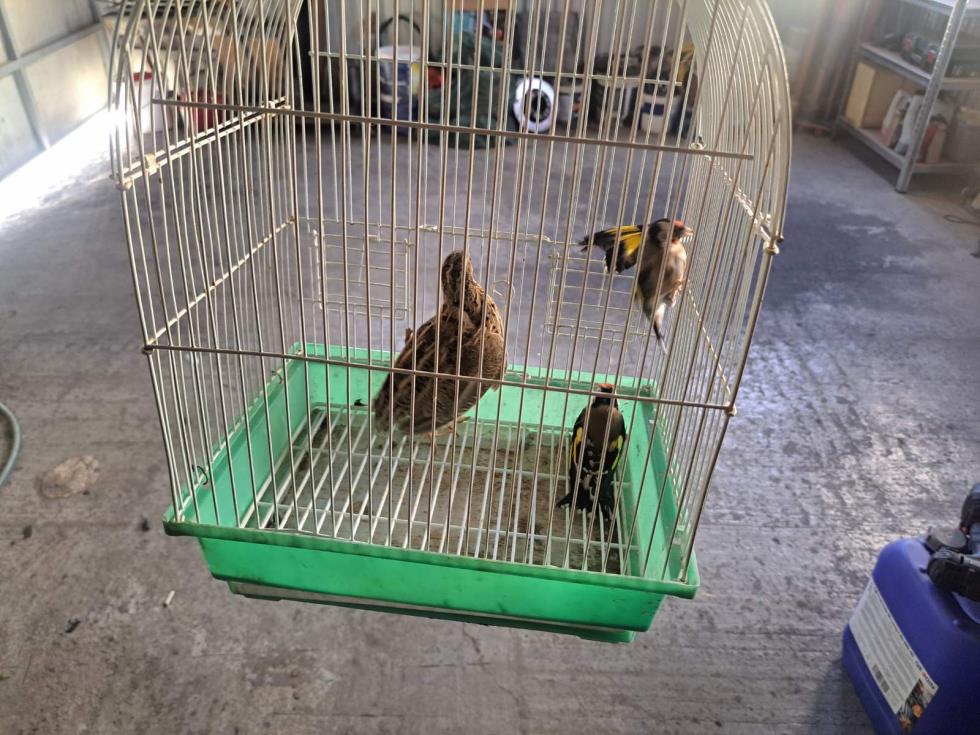 5311577488434169 image