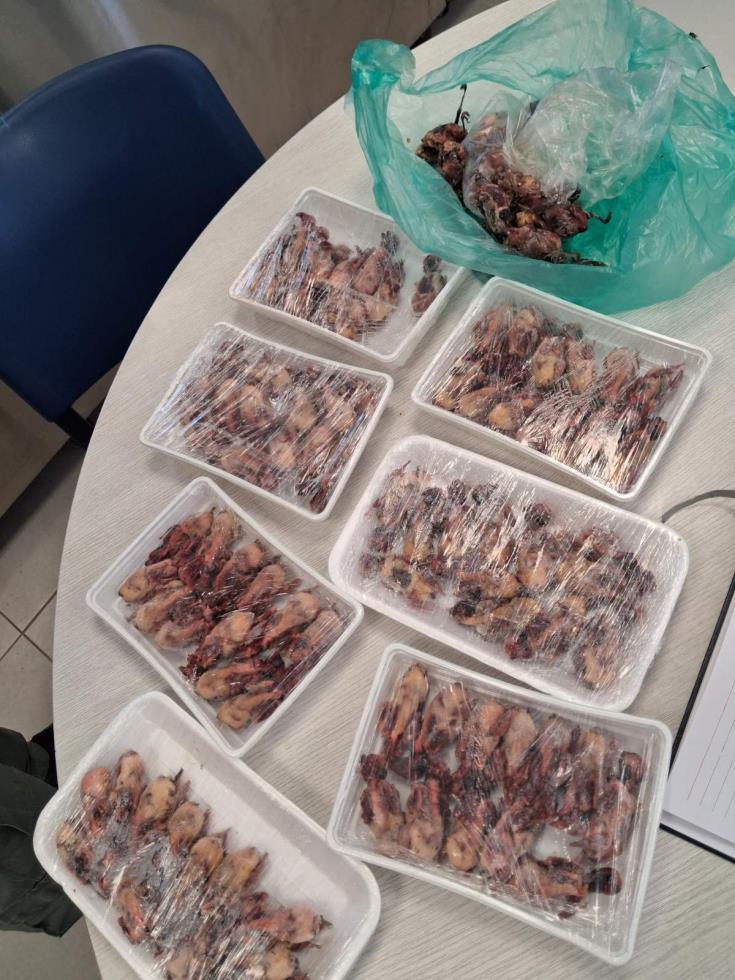 5312130528982690 image