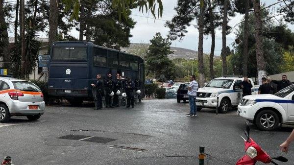 5312405183659606 image