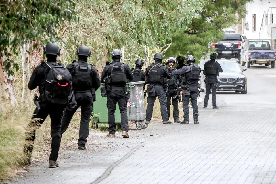 5312486903003042 image