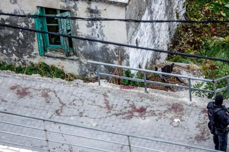 5313011176174672 image