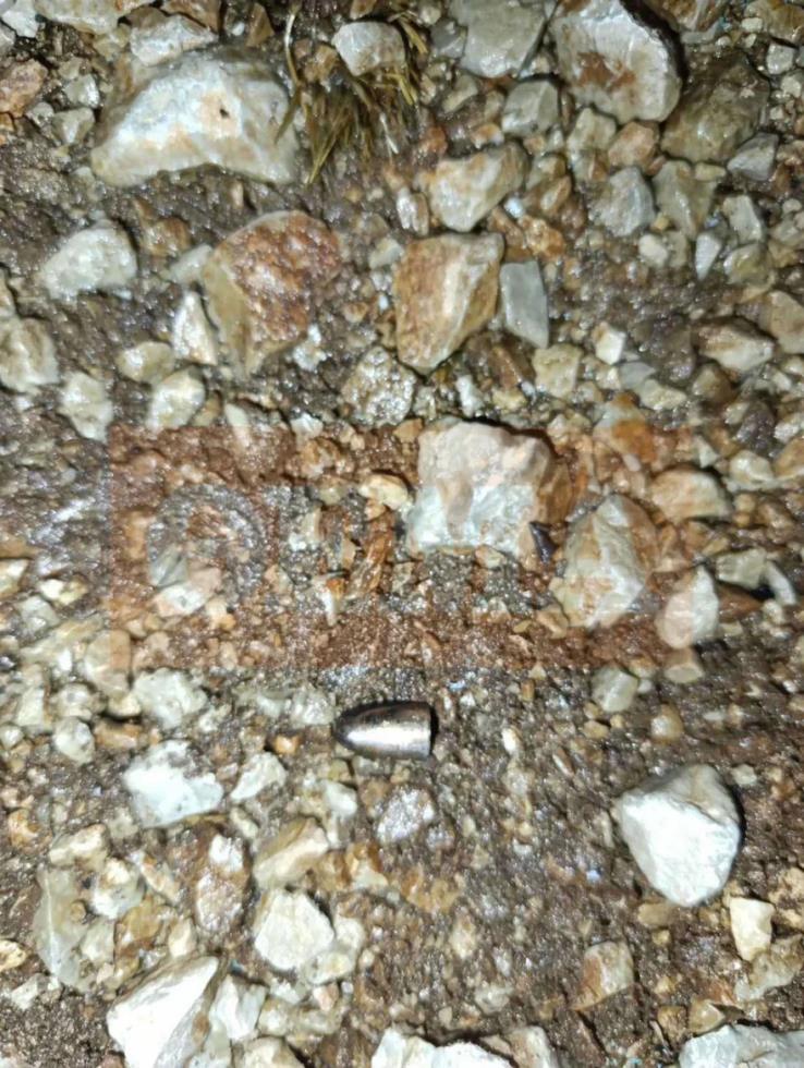 5313185742397282 image