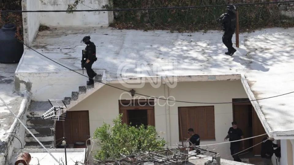 5313317794484336 image