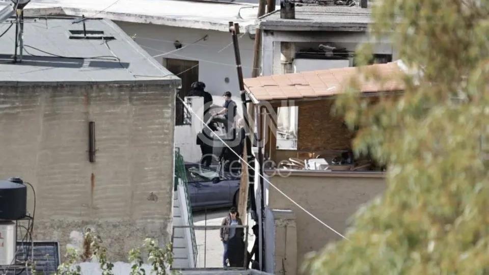 5313318017887342 image