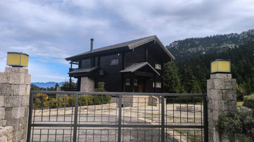 5313424686677941 image