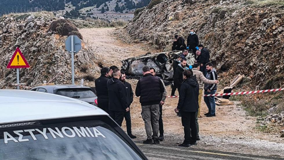 5313424786586686 image