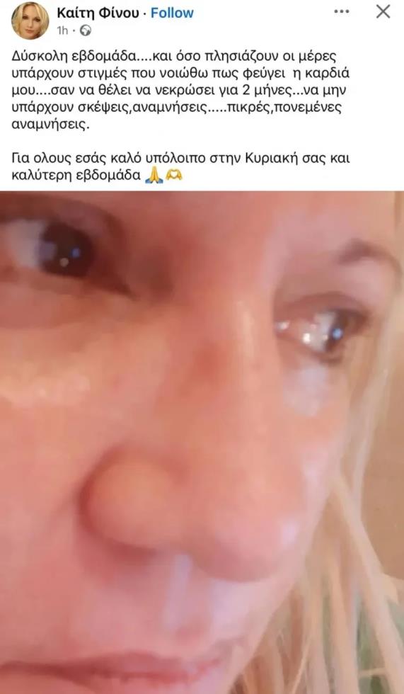 5313989555017112 image