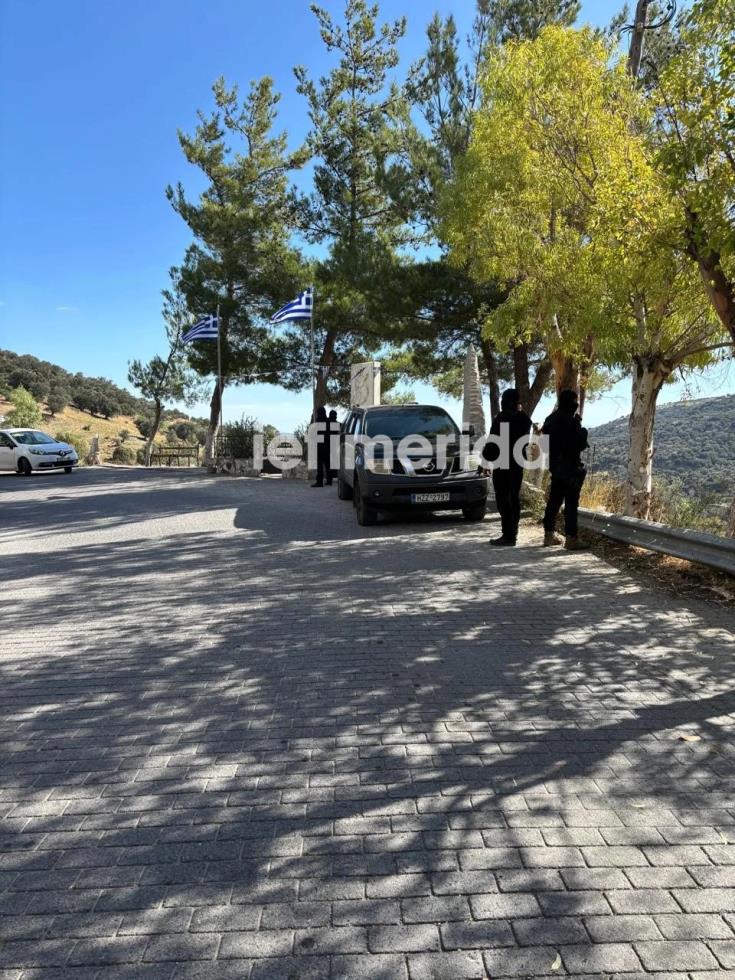 5314172228318654 image