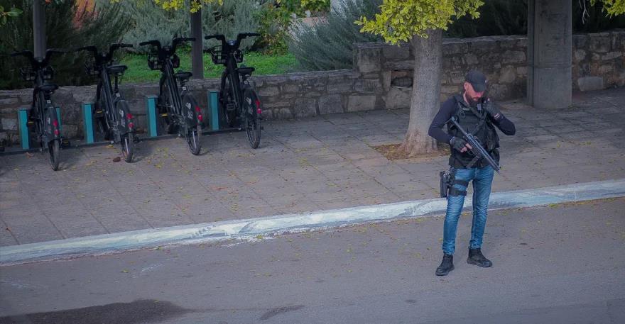 5315006891437984 image