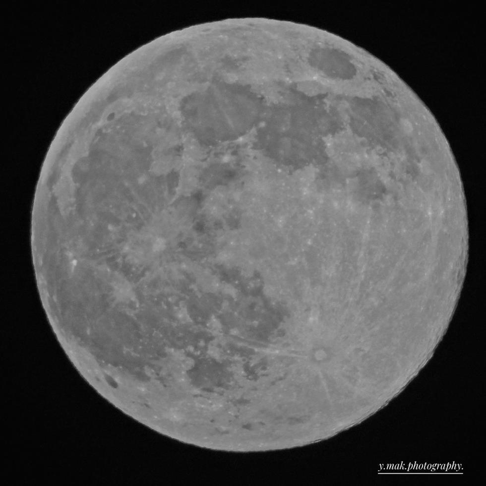 5316079645237598 574577436 4337644516514011 3155569928052874836 n