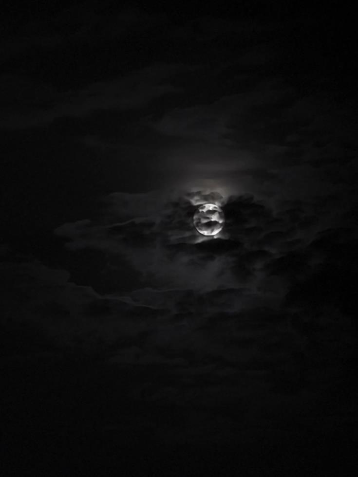 5316079733517999 574333512 10164229301927577 8186088312437766594 n