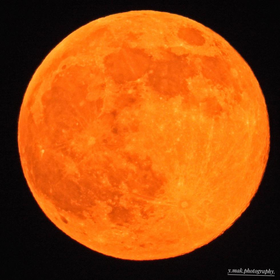 5316079753986541 576474639 4337644353180694 5136243617845339532 n