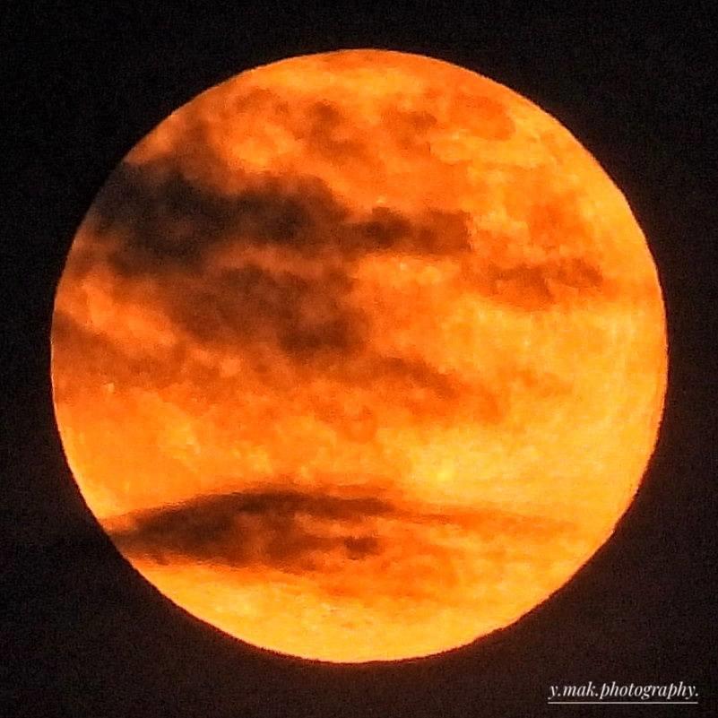 5316079706955812 574861704 4337644166514046 6030202289167676622 n