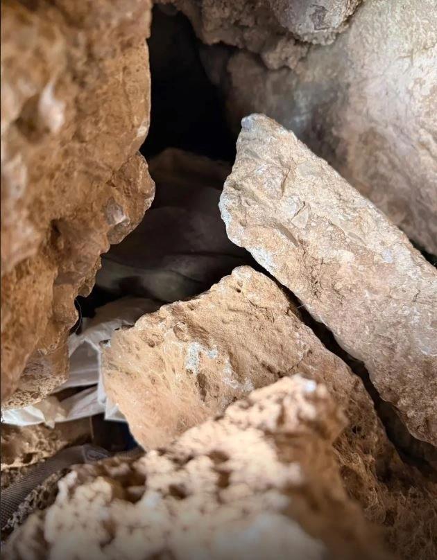 5316093851195143 image