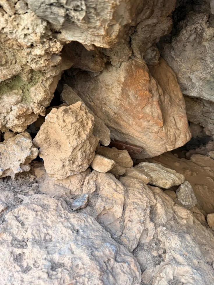 5316586830086752 image