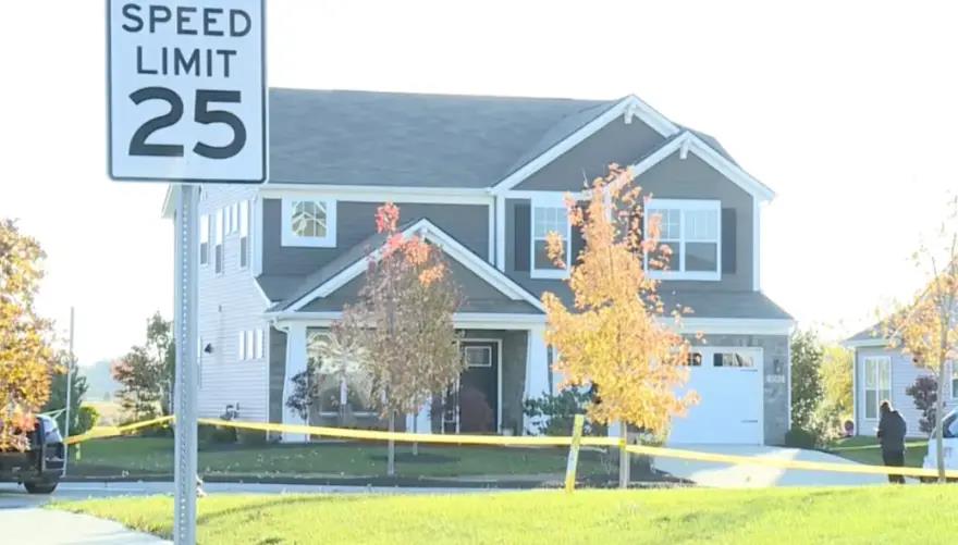 5317458834667526 image