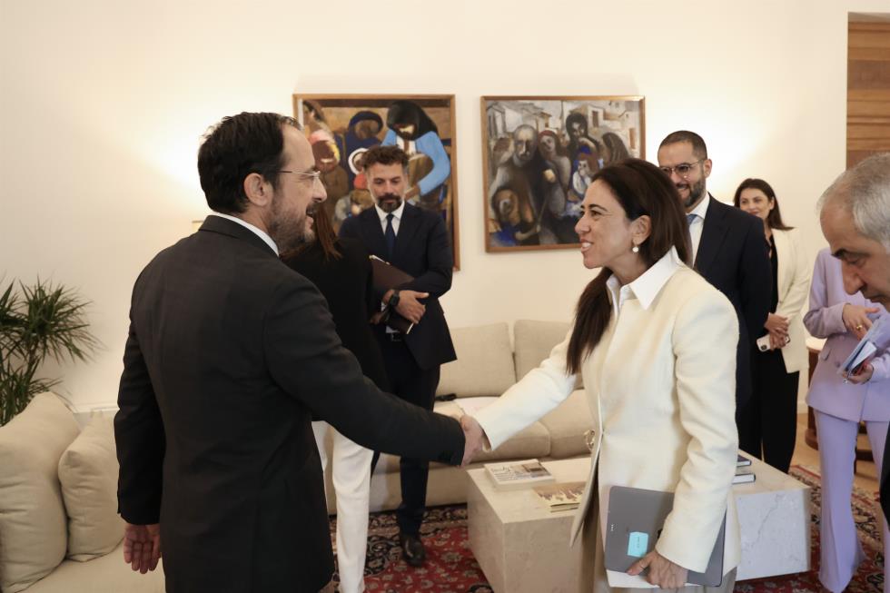 5317635101743573 image