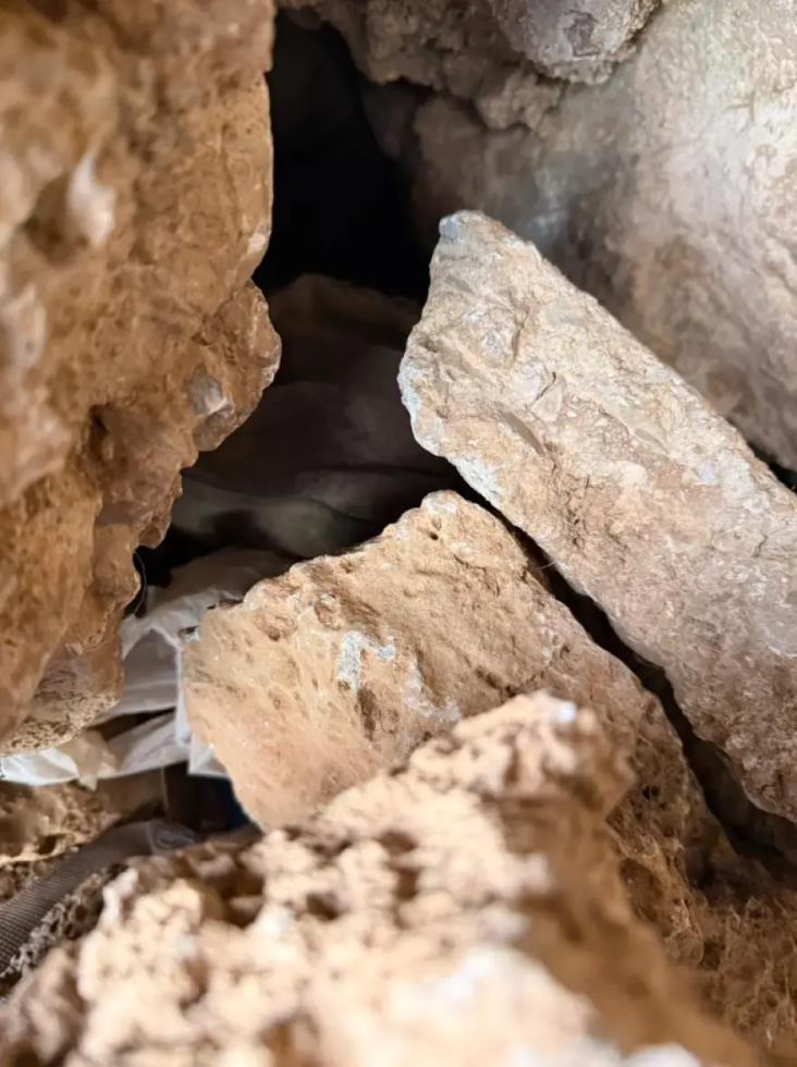 5317639619896781 image