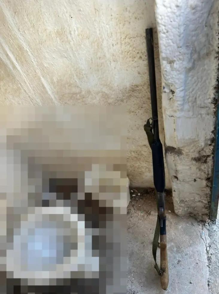 5317639742542970 image