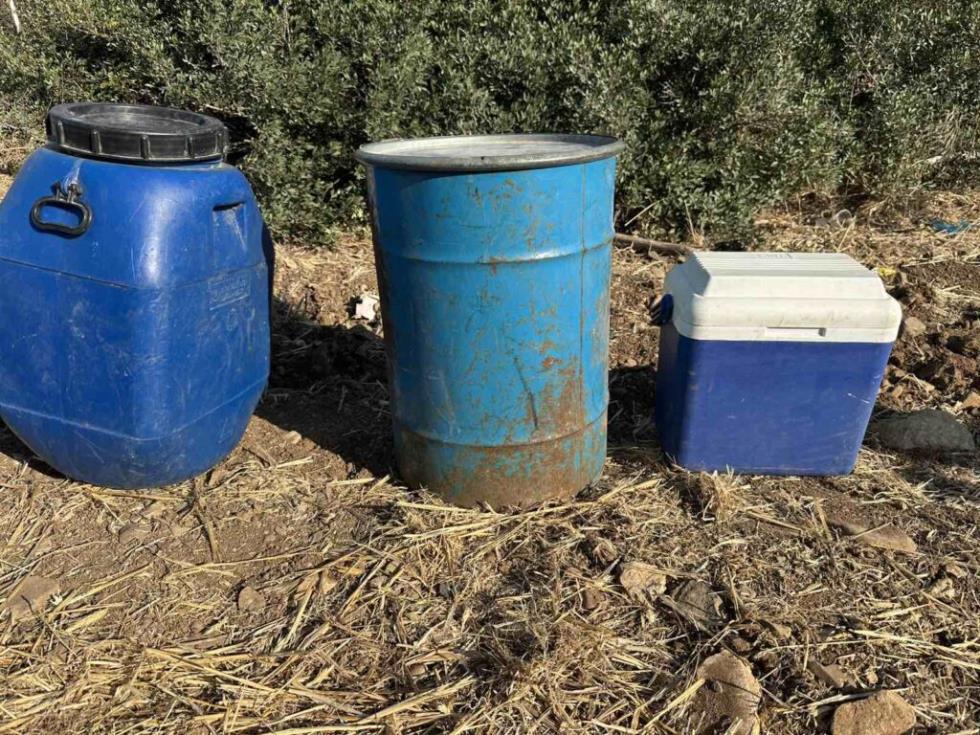 5318174915406413 image