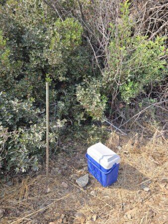 5318175017964826 image