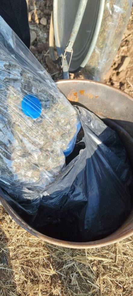 5318175079392126 image