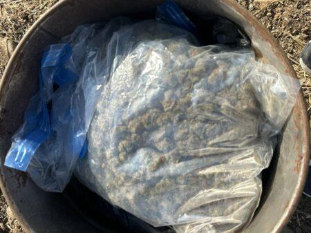 5318175140355929 image