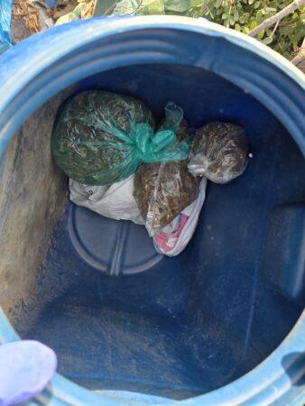 5318175200046620 image