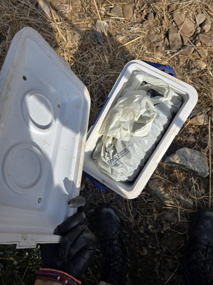 5318175270670530 image